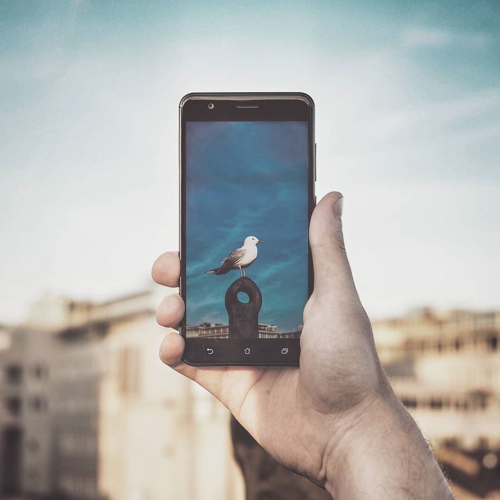 SimonNordh's tweet photo. The best camera is the one you have with you. 
#bird #sky #phonephotography #📸byZenfoneZoom #asusambassador https://t.co/4xFIFHUUqg https://t.co/koZalqmYZP