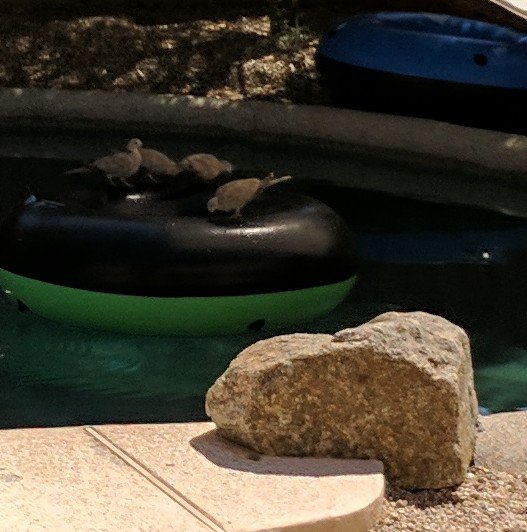 sutherlandrewj tweet media