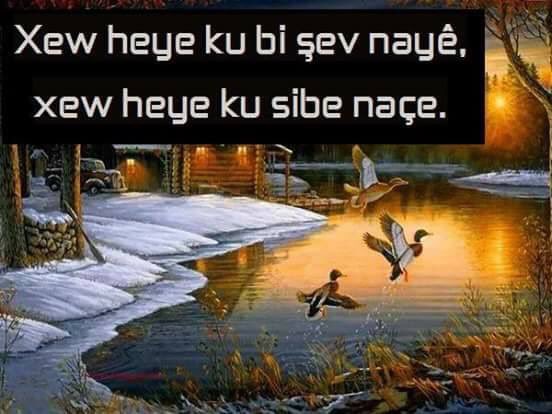 KurtceSite's tweet photo. #Kürtçe #Kurd https://t.co/QhKLSEYoFh