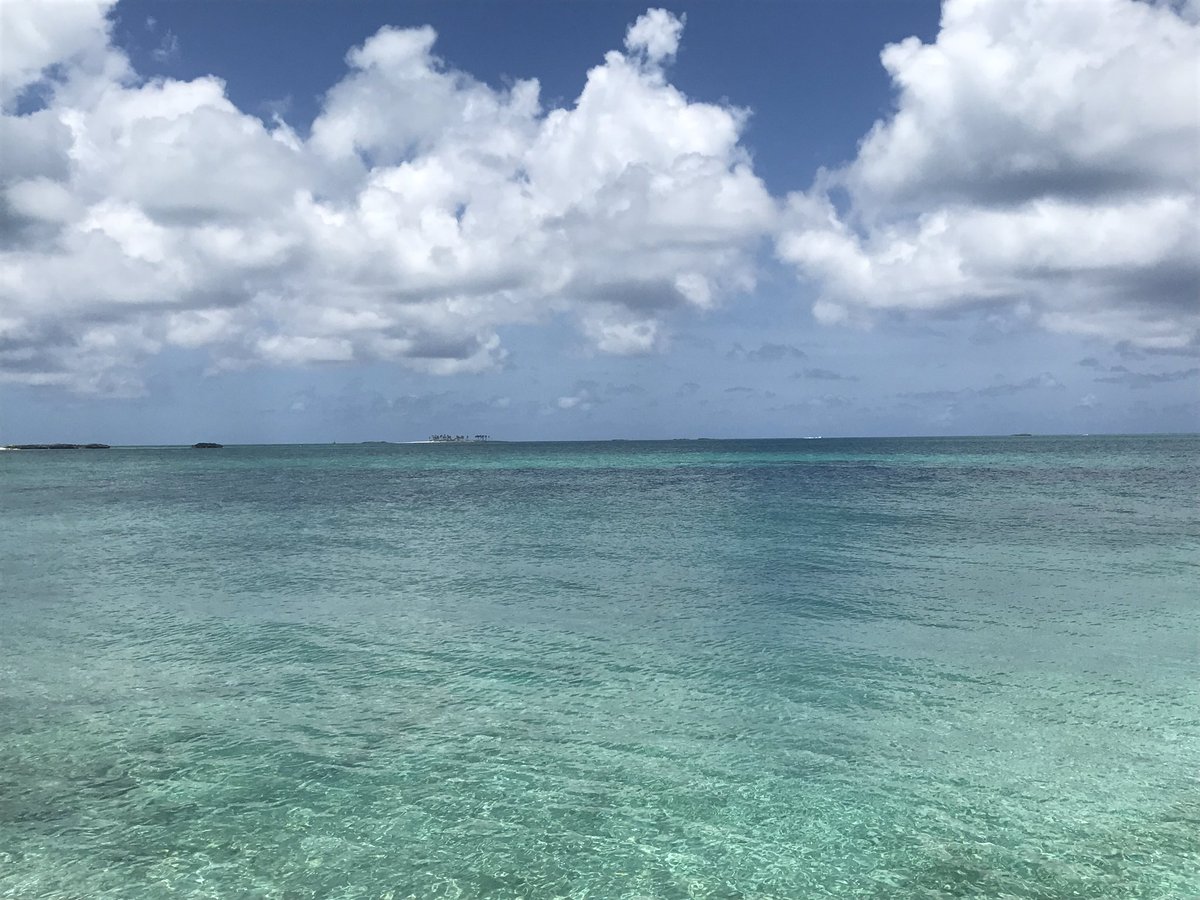 imnickmitchell's tweet photo. @IAMDJLIVE Rose Island; New Providence; Compass Cay + Norman's Cay, Exuma #VisitTheCaribbean #VisitThe Bahamas
🇧🇸🇧🇸🇧🇸🇧🇸🇧🇸 https://t.co/o8DoRzwrpp