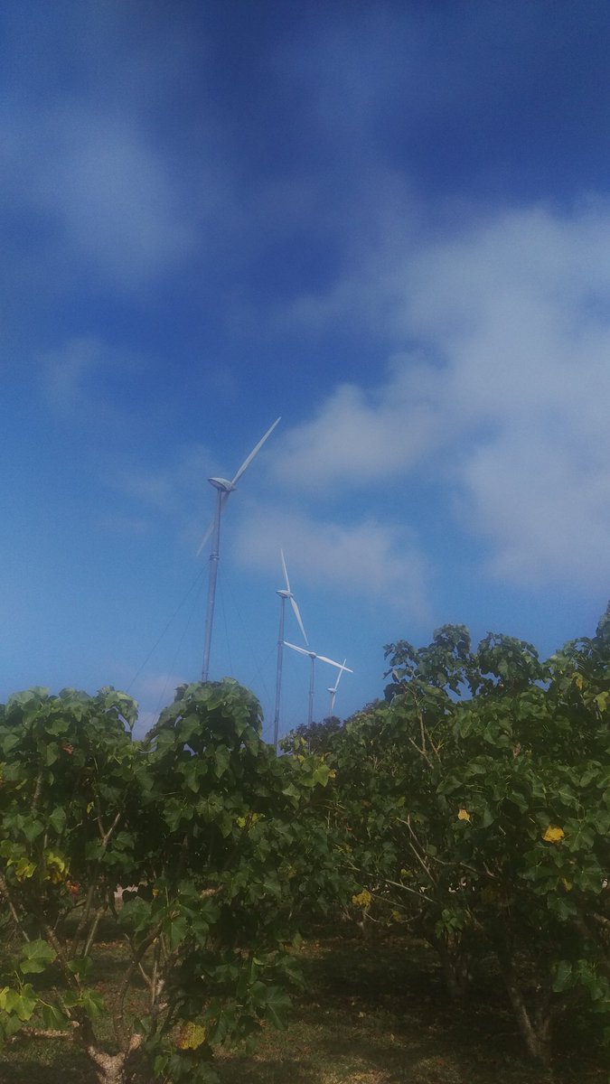 djpam789's tweet image. #ACP-EU #JP Assembly delegates now at the wind farm on Devil's Point. The wind farm is co-funded by the EU. #Vanuatu