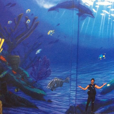 WylandORG's tweet photo. How are you contributing to save our coral? #coralreefweek #tbt #healthyocean https://t.co/1h3BztG5xB