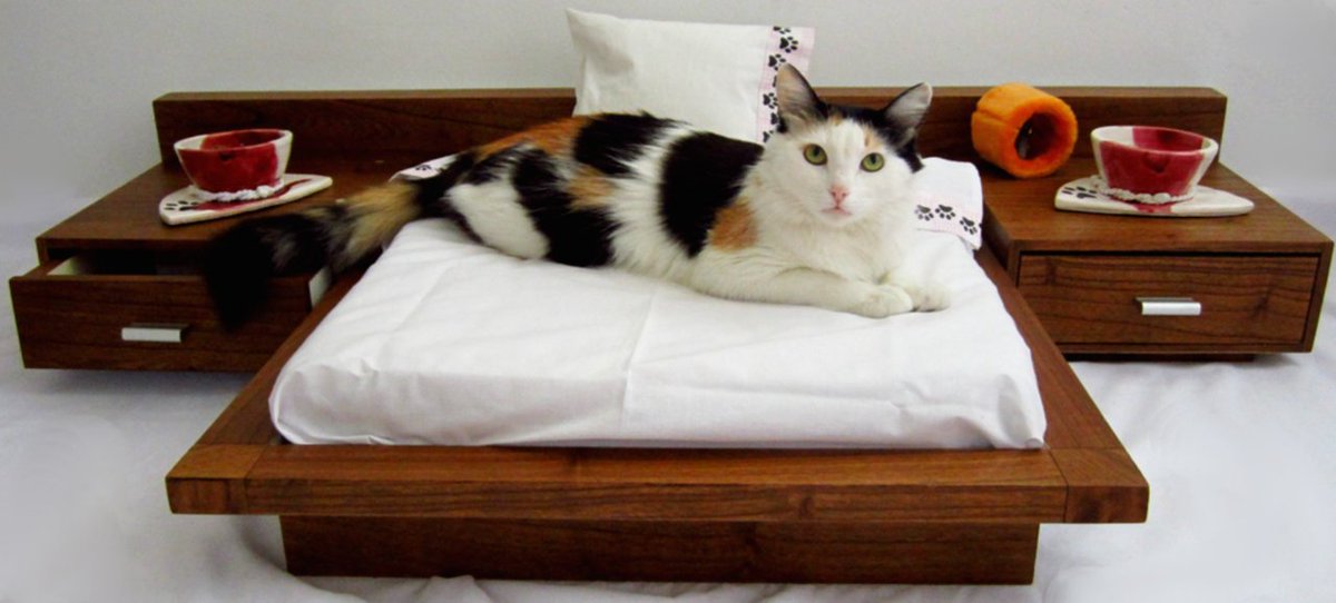 You think humans are the only ones entitled to 5-star comfort? Well this will blow your mind!
👉 bit.ly/2uMLMHg
#Cats #CatLuxury