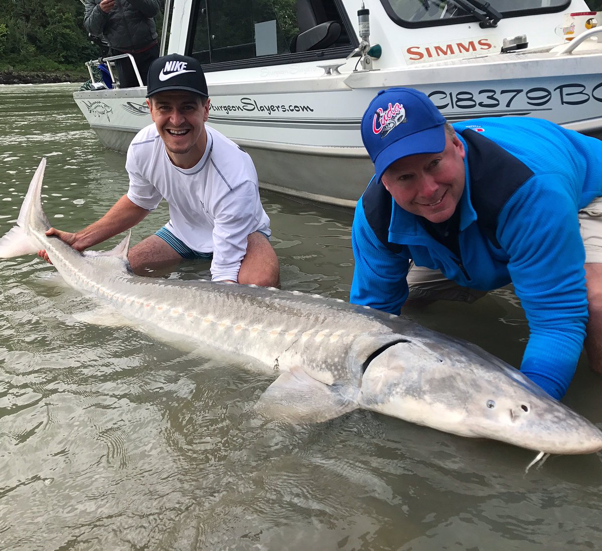 markscheifele55's tweet photo. The big fish were biting today! Had fun reeling this one in today @laddfoundation @sturgeonslayers @saxxunderwear https://t.co/eyTNn9HPPP