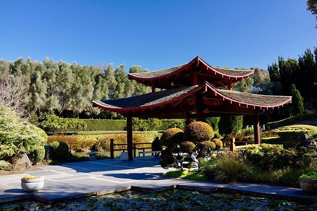 HunterValleyGardens tweet media