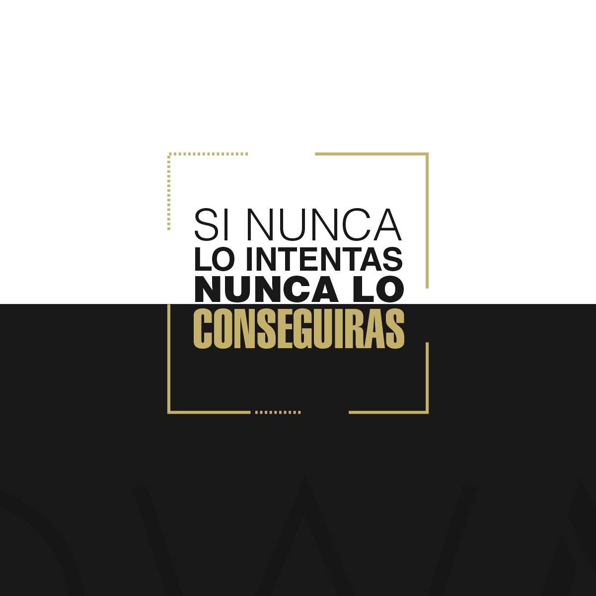 ShowmeeMX's tweet photo. Comienza ahora...
Visitanos en la Web--->https://t.co/3LZ5siNPp4 
#ShowmeeLife #FajasColombianas #Mexico #Guadalajara https://t.co/zRRouUqbyg