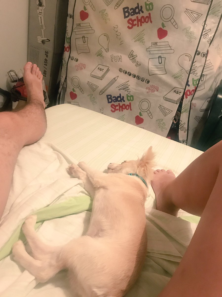 meer_92's tweet photo. Mis buenas noches❤️💏🐶🏡 https://t.co/bfkZOilyyk