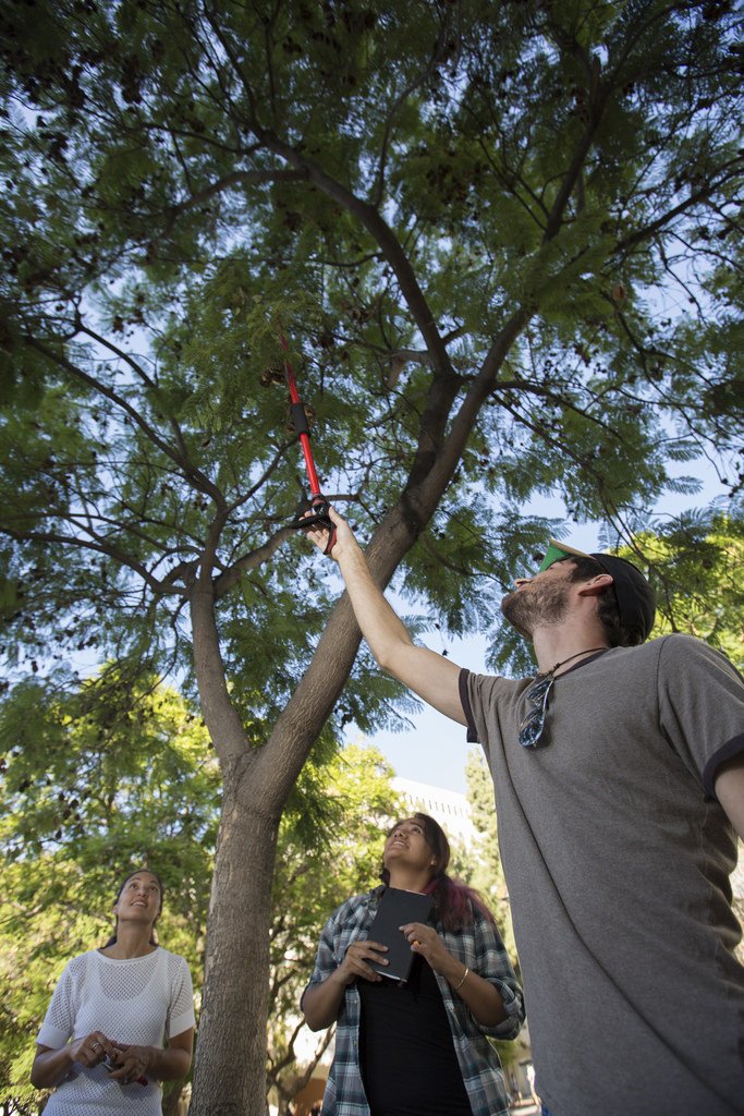 sustainCSUF's tweet image. #MyTopCollege is @CSUF: student-driven research projects, using our campus and local community as a #livinglab #highimpactpractices