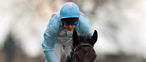 3furlongsout's tweet photo. Rule 209 - "The starters decision as to the fairness of a start shall be final"
Whats your thoughts on the 4.15pm at Killarney? #VoidRace https://t.co/JnPXoeRo78