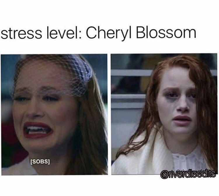 madelainepetsch's tweet photo. SAME. https://t.co/4bGthmyKdR