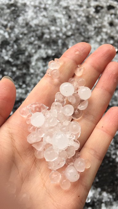 View image on Twitter View image on Twitter