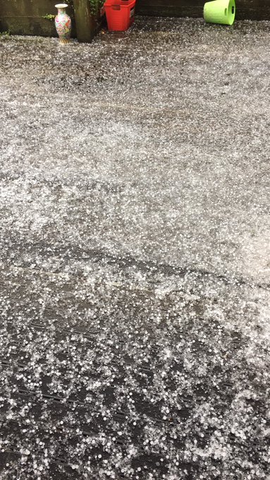 View image on Twitter View image on Twitter