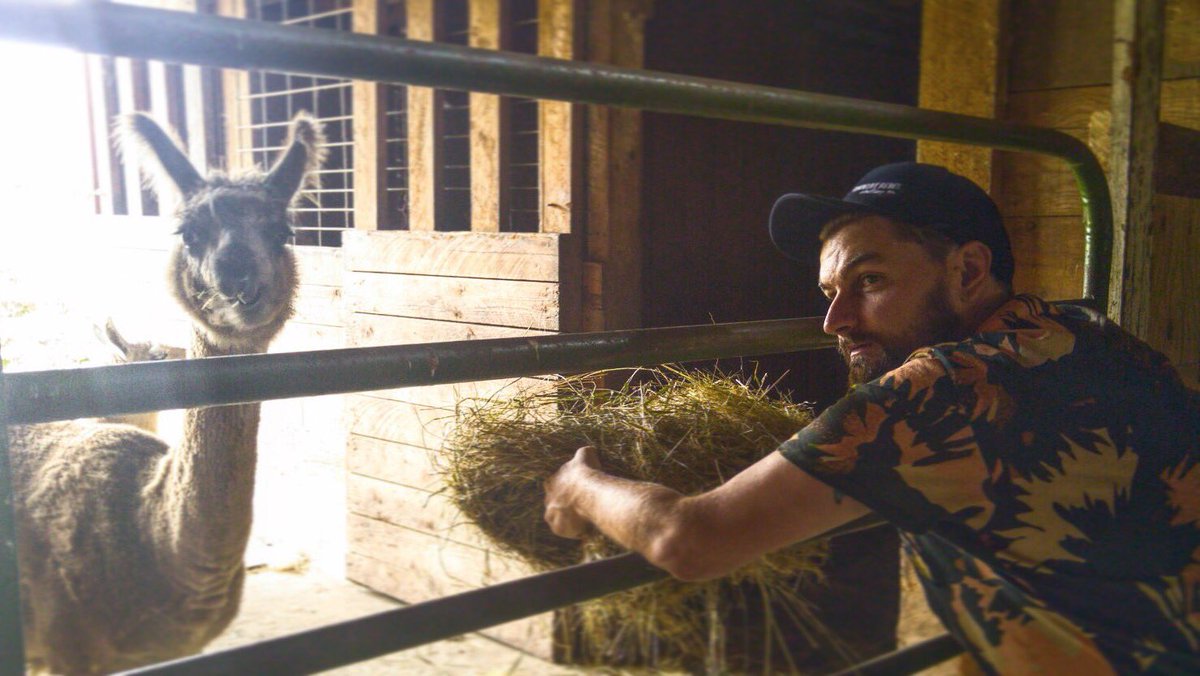 TheAdamChance's tweet photo. Yeah, I'm not so sure about you either, Llama. #swordfarm
๐ธ: @TheWiseGhosh https://t.co/MdHwh12Axz