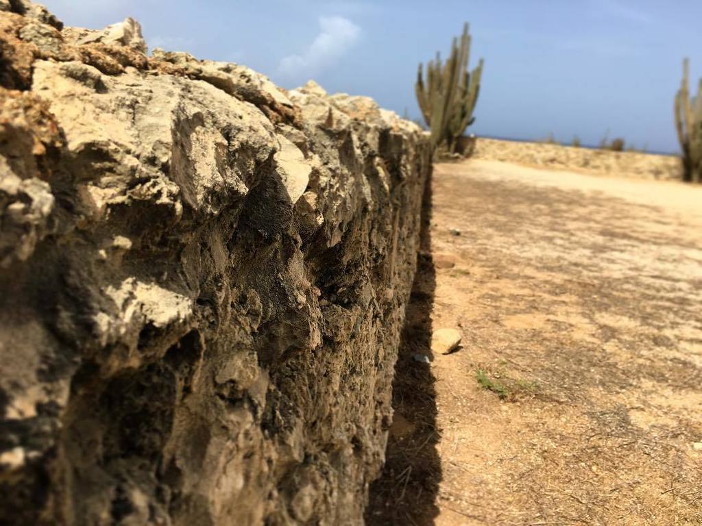 ooklathemock's tweet image. Exploring... man its hot out today... #exploreeverything #backpackingadventure #aruba ift.tt/2uGYUA6