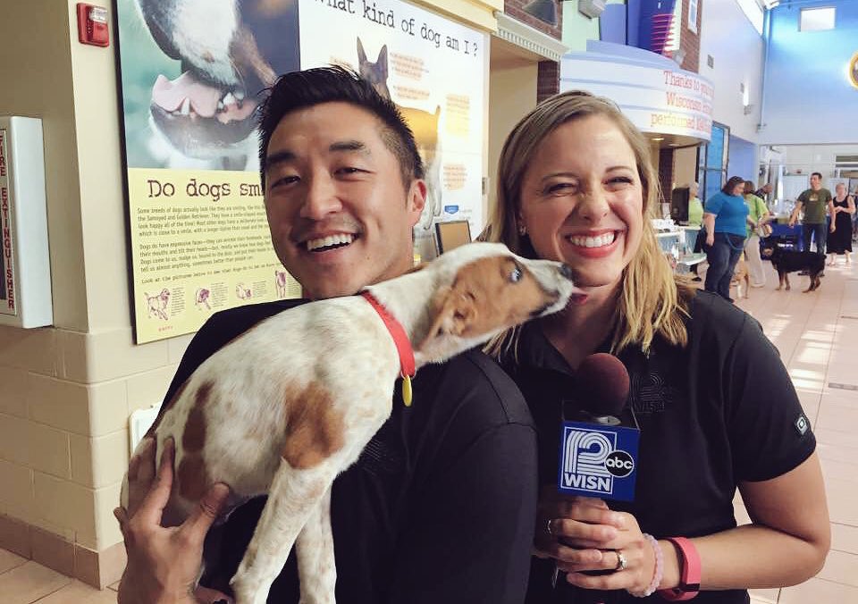 dudeitsandychoi's tweet photo. Sup, dog? ๐ถ #FeastingForFido https://t.co/pklcZQNoE8