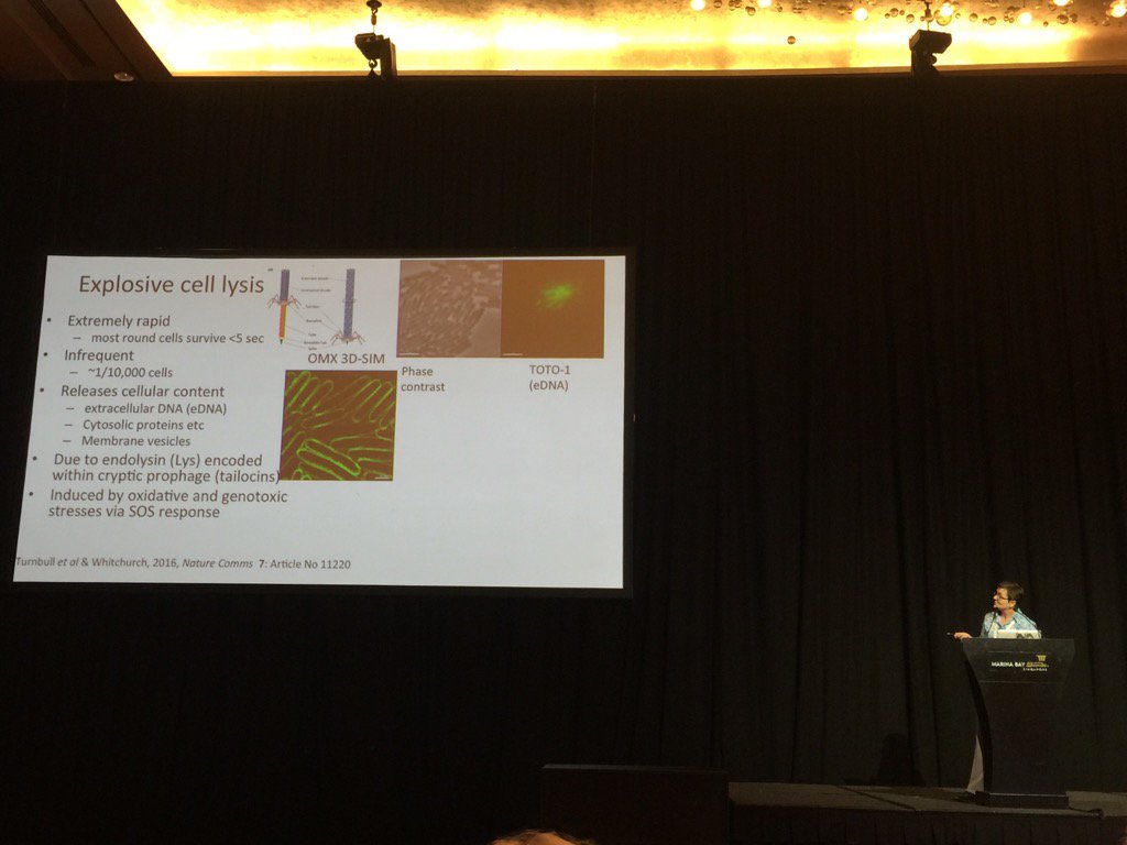 ProfLizHarry's tweet photo. Superb talk on bacterial lifestyles from @Cwhitch @ithree at #iums2017 - Brava! https://t.co/VZNvSJcJnT