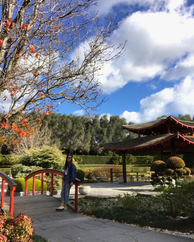 HunterValleyGardens tweet media