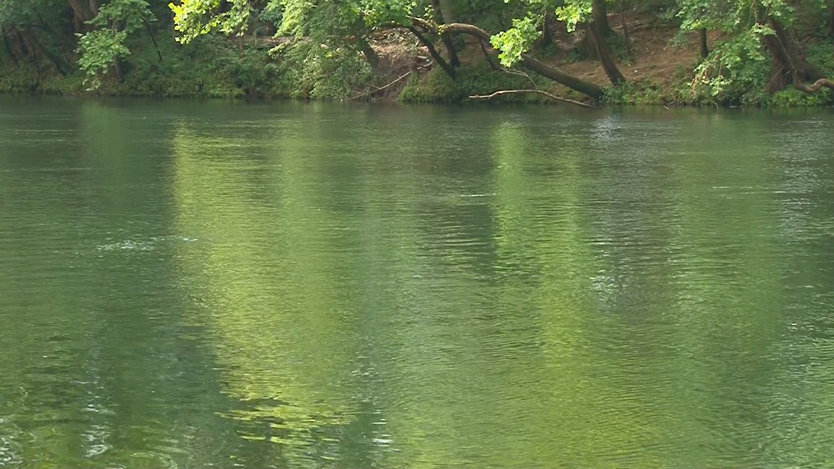 WLTX's tweet photo. Saluda River Swimming Advisory Lifted https://t.co/IEdVUMirxO #scrivers #scnews #sctweets https://t.co/gxGA0boKnS