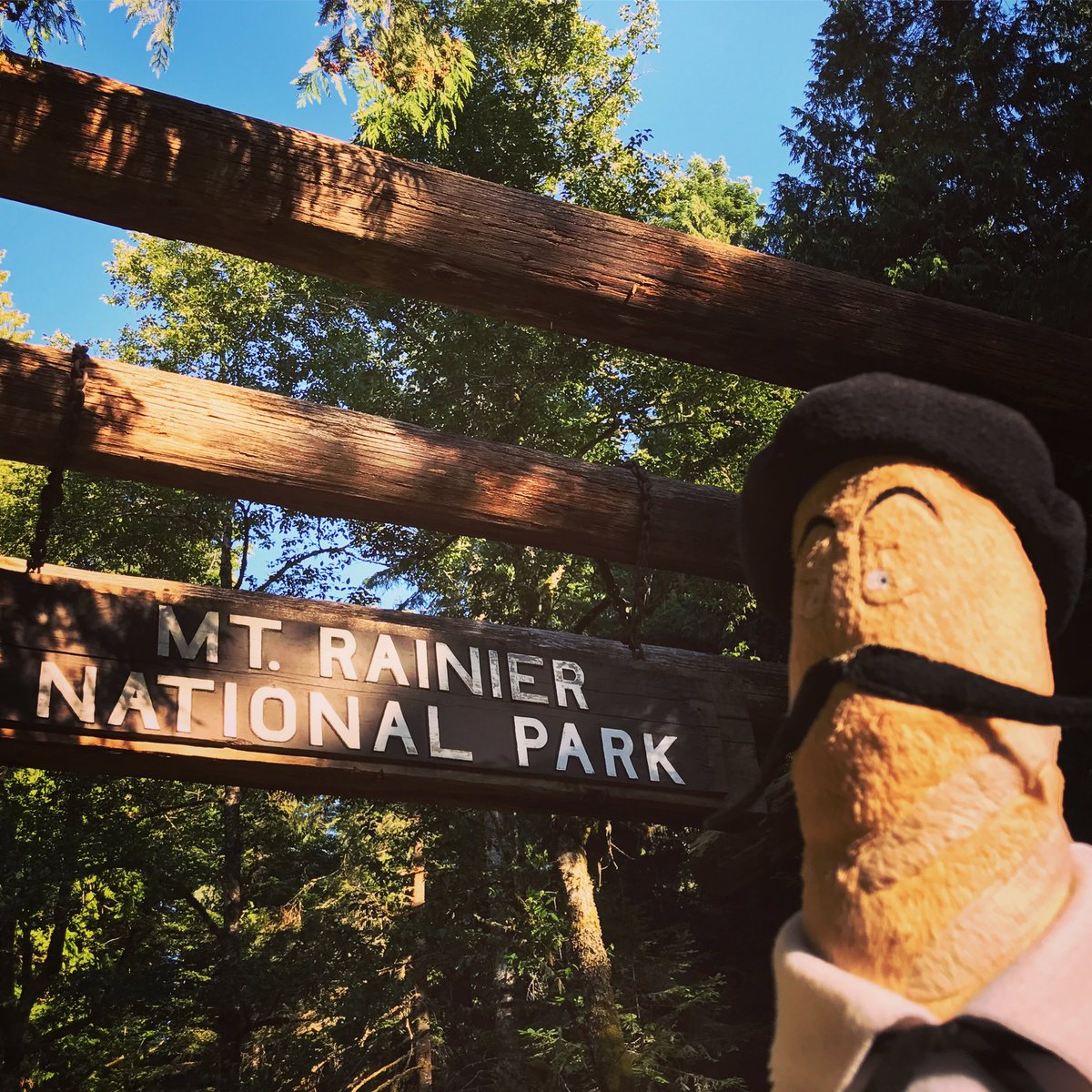 bread_tweets's tweet photo. #MtRainier #NationalPark.  Rivers &amp; forests &amp; peaks, oh my! #jacquesinasmock #explore #breadselfie #mtrainiernationalpark #thegreatpnw 🌲🏕🥖🎨🌲 https://t.co/0Mz2G2pxil