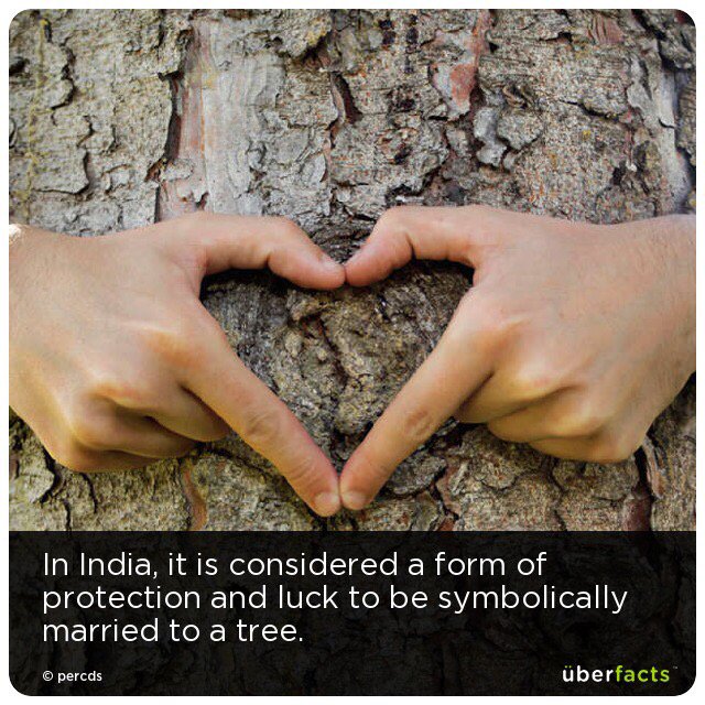 CharMoss02's tweet image. Bored? Check out the UberFacts app uberfactsapp.com