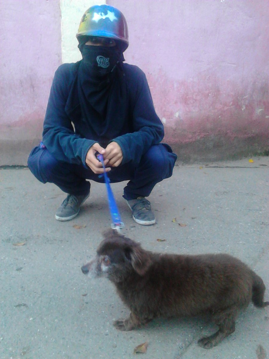 Ginette (@gintonic1987) on Twitter photo Mi perra Mecha en resistencia. UD7 Ruiz Pineda. <a href="/Caricuaoactivo/">CARICUAO ACTIVO ♐</a> <a href="/Caricuaoonline/">Caricuao Online</a> <a href="/caricuaoresiste/">Resistencia Caricuao</a> Mi perra Mecha en resistencia. UD7 Ruiz Pineda. <a href="/Caricuaoactivo/">CARICUAO ACTIVO ♐</a> <a href="/Caricuaoonline/">Caricuao Online</a> <a href="/caricuaoresiste/">Resistencia Caricuao</a>