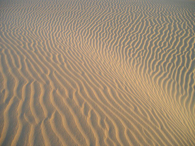 FernandoARojasY's tweet image. Photo By Simon | Pixabay 
 #india #desert #sandpattern