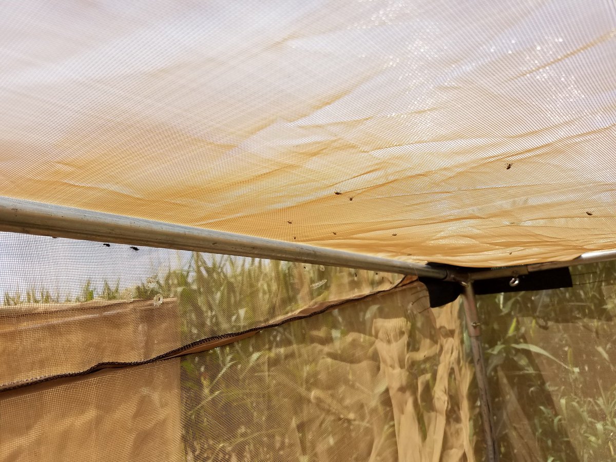 Bodie Fletcher tweet media