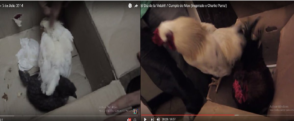 como cuando ves a <a href="/JohannVargasF/">Johann</a> y <a href="/KevoVargas/">Kevo</a> y recuerdas estos videos antiguazos donde salen sus pollos #ConTodasLasKremaz <a href="/whatdafaqshow/">Mox</a>😂