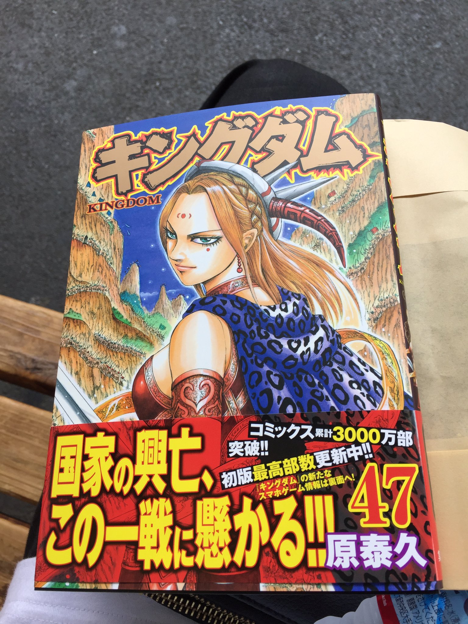 超爆安 キングダム25巻分 1 13 17 24 32 34 37 50巻 青年漫画 Madmex Co Nz