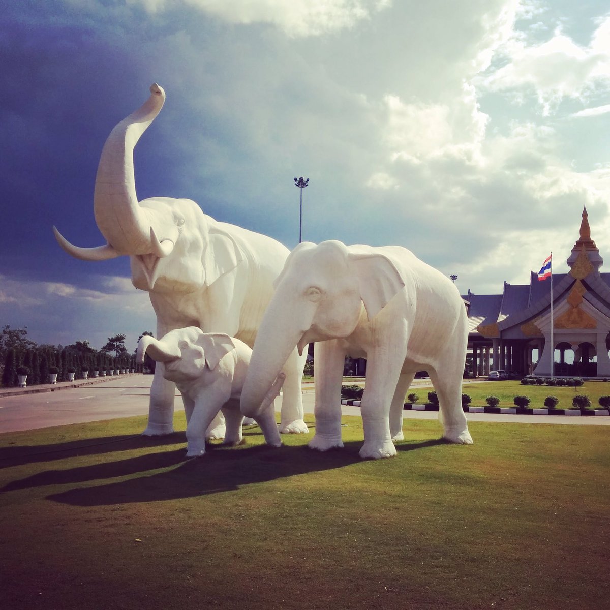ThinkElephants's tweet photo. The elephant is one of the crucial parts of Thai culture and many other countries in Asia. #thinkelephants https://t.co/2sXFDh12ac