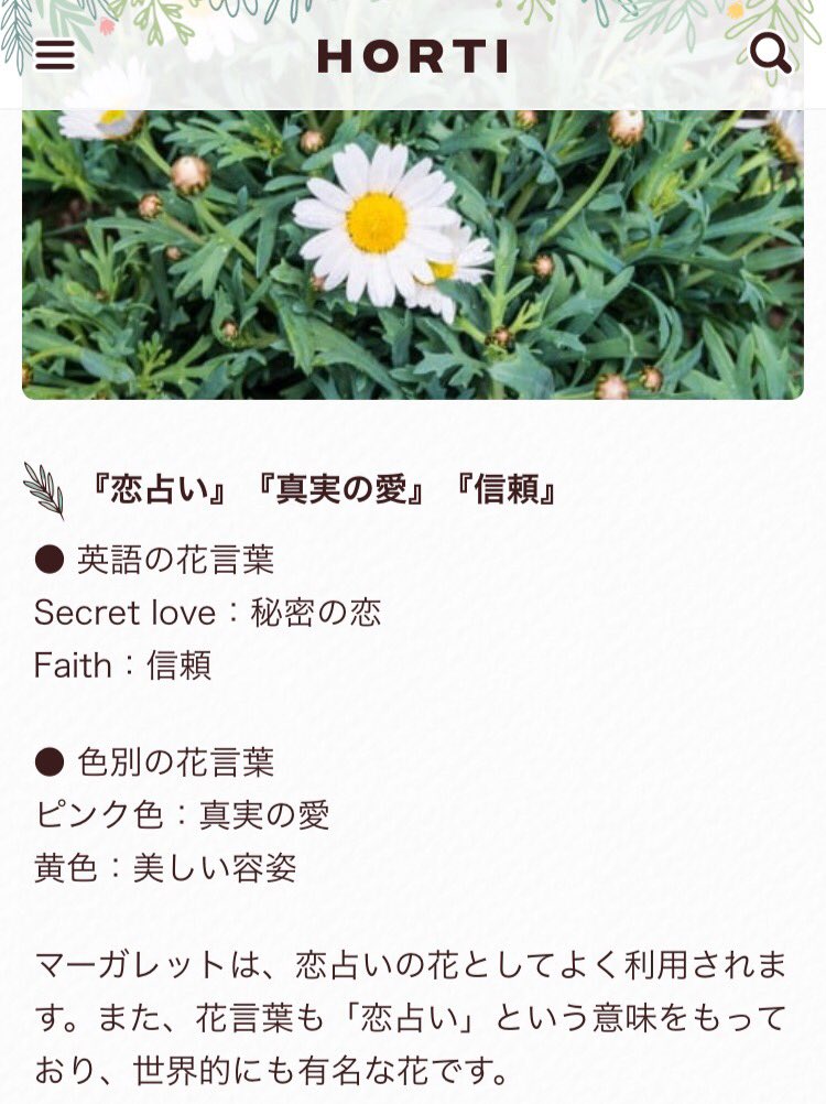 ゆみちゅう フランちゃんがカウレスくんにあげた花多分マーガレットなんだけど花言葉が 信頼 で死んでる