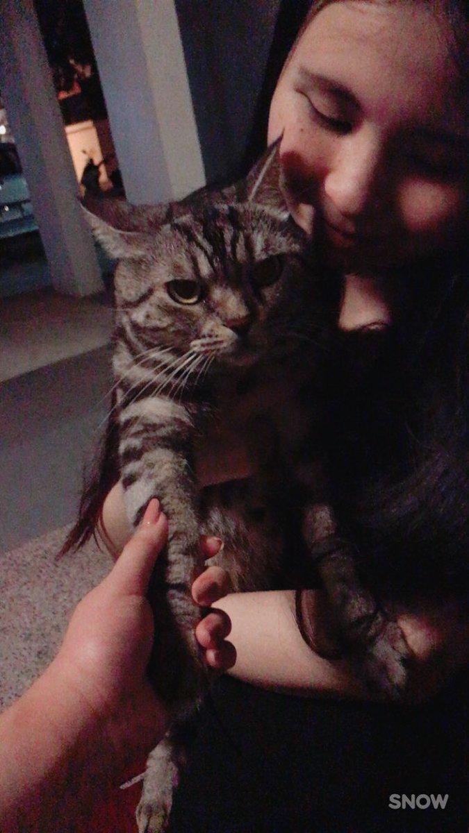 jopjopp's tweet photo. Thinking of #levithecat, sibei cute. π½ Good to see u ytd bei! @vvarls hehehe https://t.co/WGGIQlqhYF