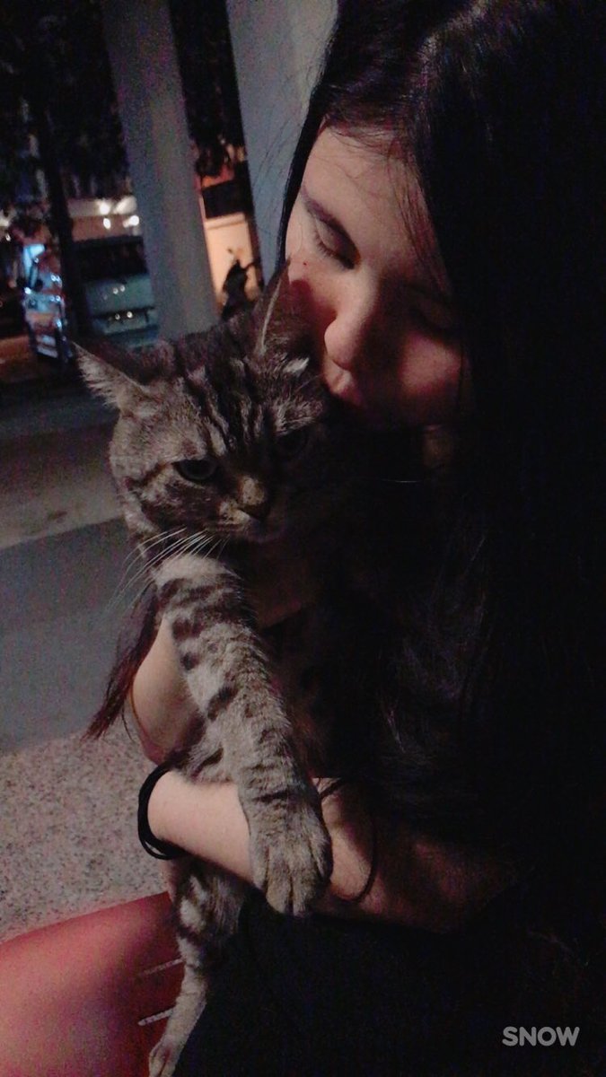 jopjopp's tweet photo. Thinking of #levithecat, sibei cute. π½ Good to see u ytd bei! @vvarls hehehe https://t.co/WGGIQlqhYF