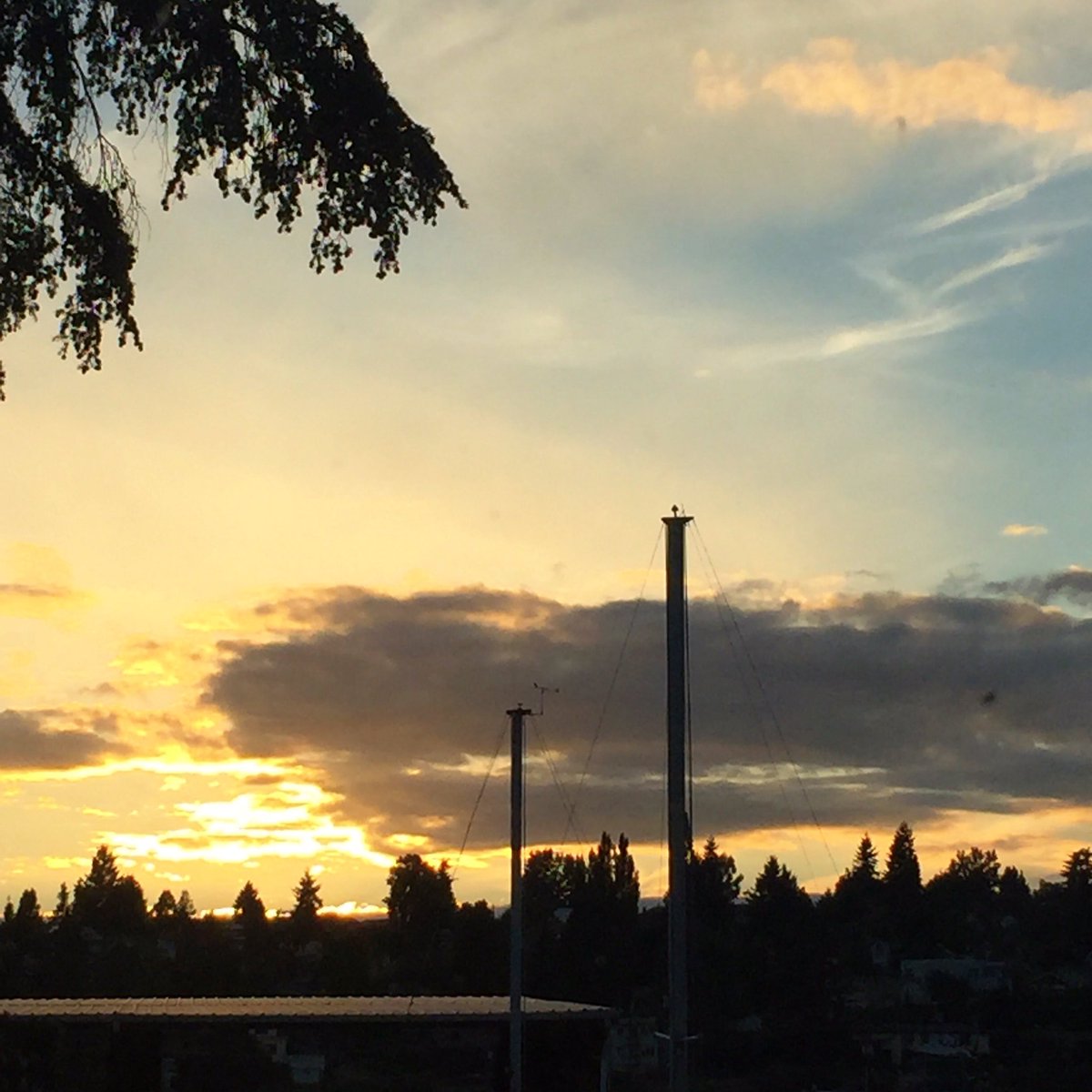 CourtStrand's tweet photo. Goodnight #Seattle #MySeattleCottage #UpperLeftUSA #Sunset https://t.co/ktnOVezhVR