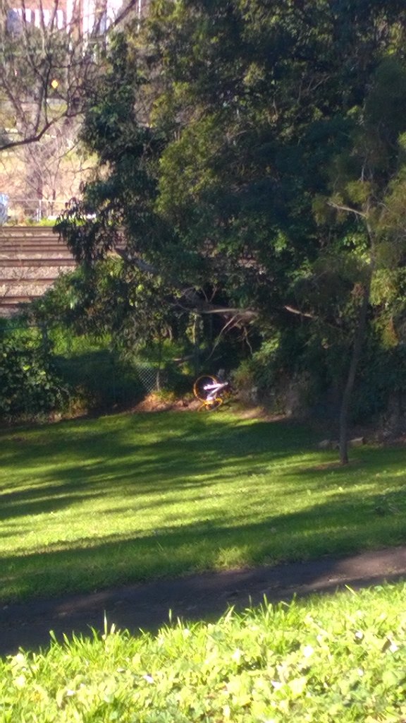 mirandadc's tweet photo. I spy a #yellowbike dumped in Darling st. park Sth. Yarra. https://t.co/CJhqPtt2Ci