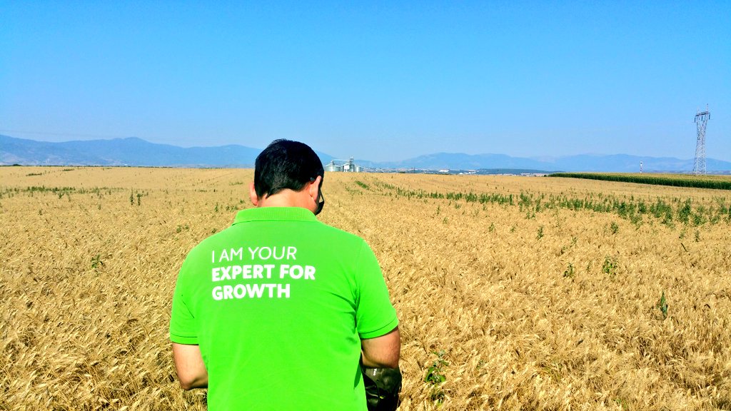 Field evaluation of #NEXUR® application on wheat crop on Ptolemaida, Greece <a href="/aphatzitheo/">Apostolis Chatzitheodorou</a> <a href="/t_chrysochoou/">Chrysochoou Theodoros</a> <a href="/geomitsopoulos/">Georgios Mitsopoulos</a> <a href="/panoschamakioti/">Panos (Panayiotis) Chamakiotis</a>