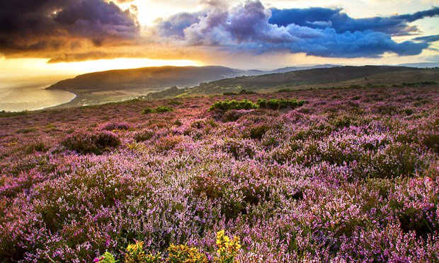 wanderlustmag's tweet photo. 5 lesser-known UK national parks you should check out this summer, including Exmoor 
https://t.co/ayHRc0w9SH
@VisitEngland #fridayfun #UK https://t.co/pKiZBixJT7