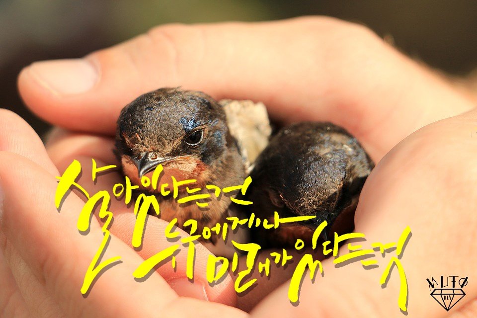 [Calligraphy]
마카(Marker)
Copyright ⓒ 2017. Mutodia (All rights reserved.)

#캘리러_트친소  #캘리그라피 #calligraphy #calli #손글씨