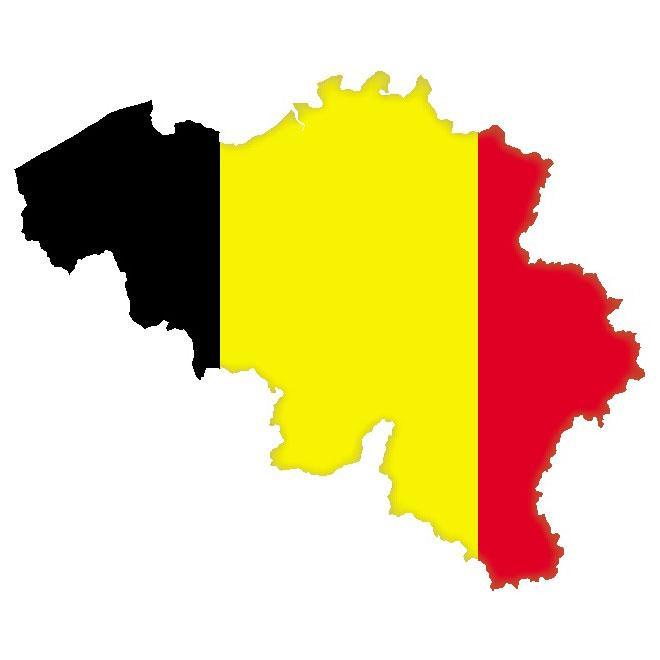 FutuRHNamur's tweet photo. Happy national day ! #FutuRH #Belgium https://t.co/rMqUNQK70V