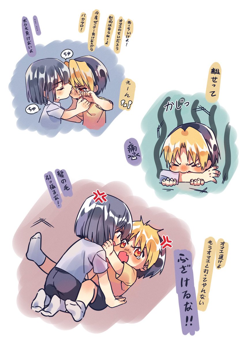 正しい同時飼育方法 