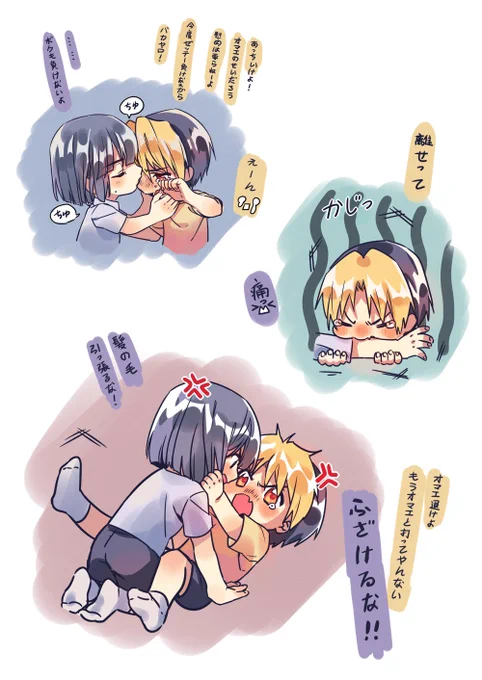正しい同時飼育方法 