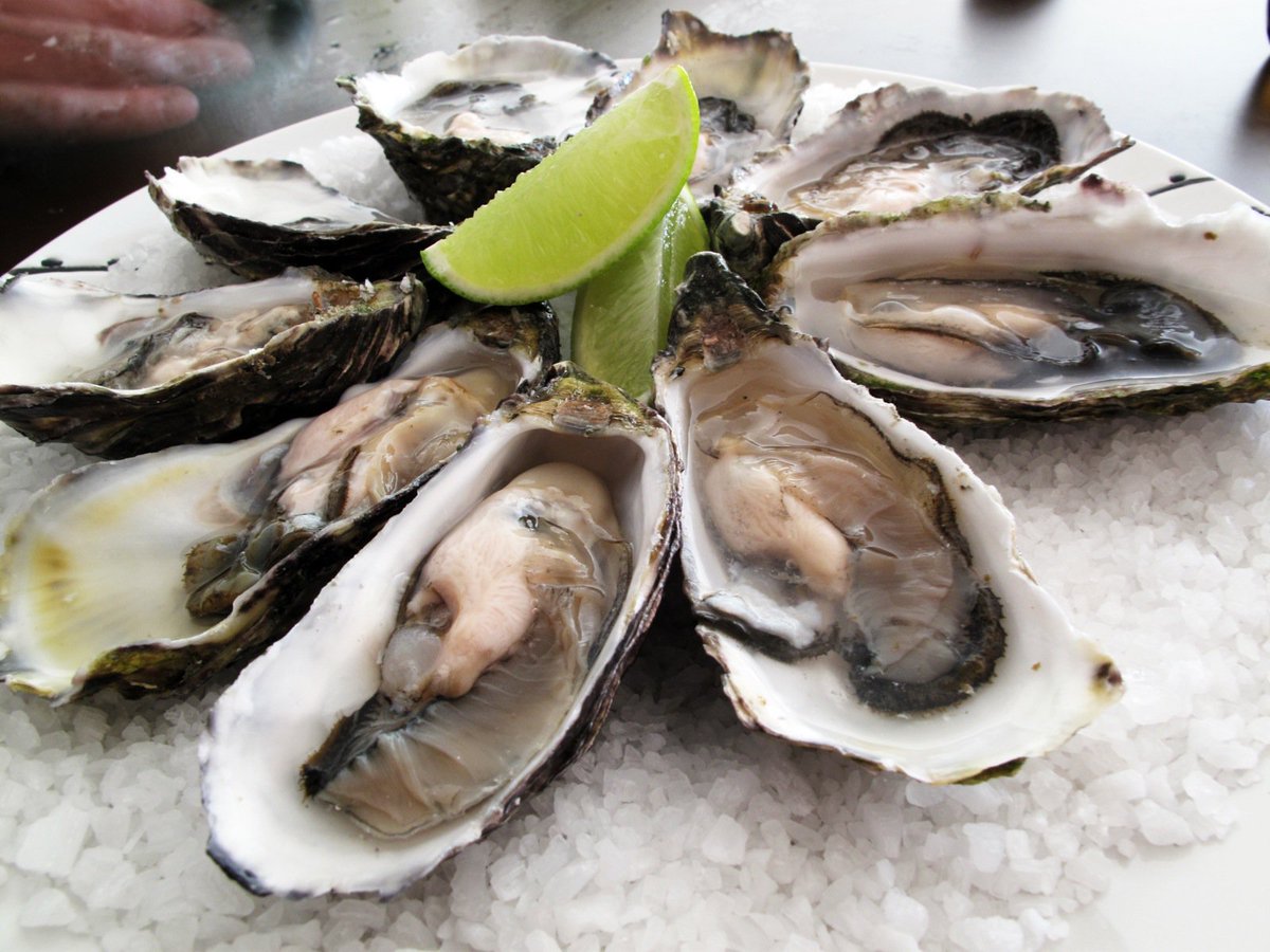 Does <a href="/AustOysterCoast/">Aust. Oyster Coast</a> have the best oyster in the world?   <a href="/destinationnsw/">Destination NSW</a> <a href="/FishtalesAU/">Fishtales</a> ow.ly/LUqO30dNShx