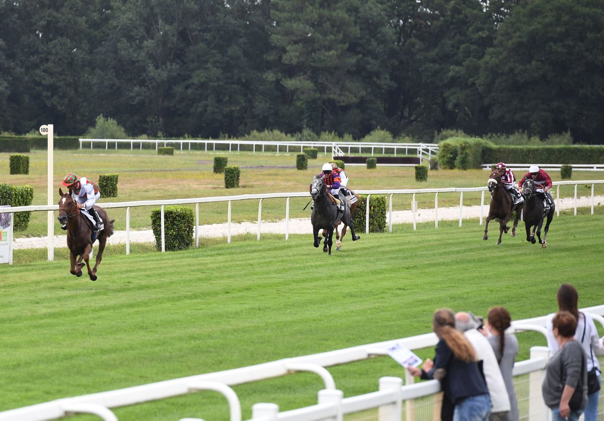 JDGArabians's tweet photo. #WADEEAA (F/3 Mahabb) surclasse l’opposition ds le Px Dunixi à Mont-de-Marsan pour Yas Horse Racing
2 DAHESS D'ARABIE
3 HARRAB https://t.co/oKNw5Ukaxx