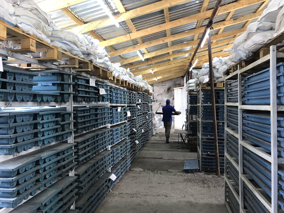 Danny Frost (DannyFrost02) Twitter