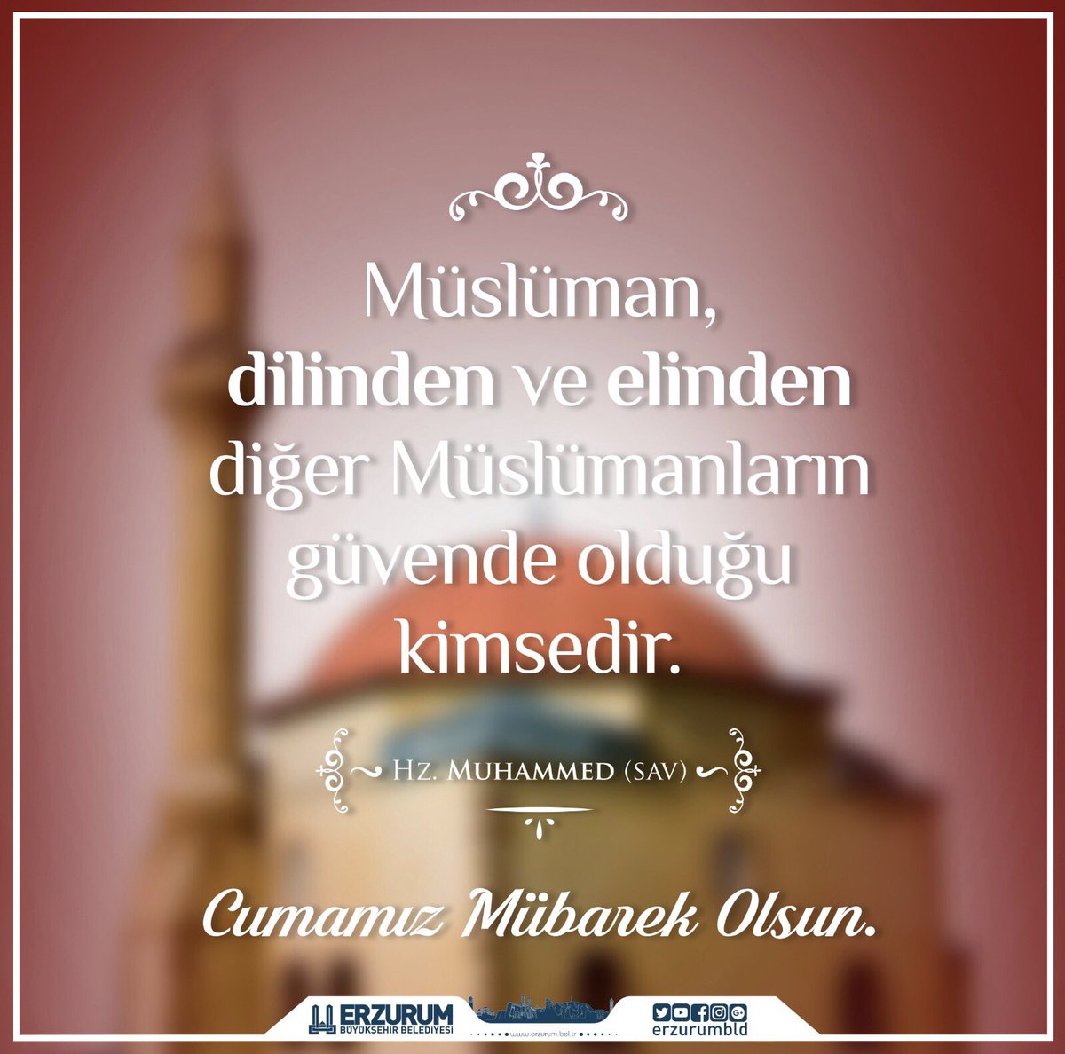mehmetsekmen's tweet photo. https://t.co/EveLrkTLoF