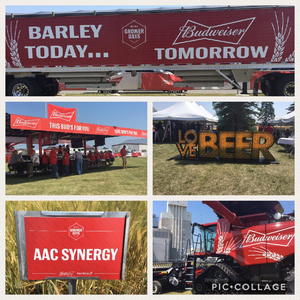 ChrisSpasoff's tweet photo. #Budweiser on display today!  #AACSynergy even made an appearance.  @syngentacanada https://t.co/QkVuSWxqr3