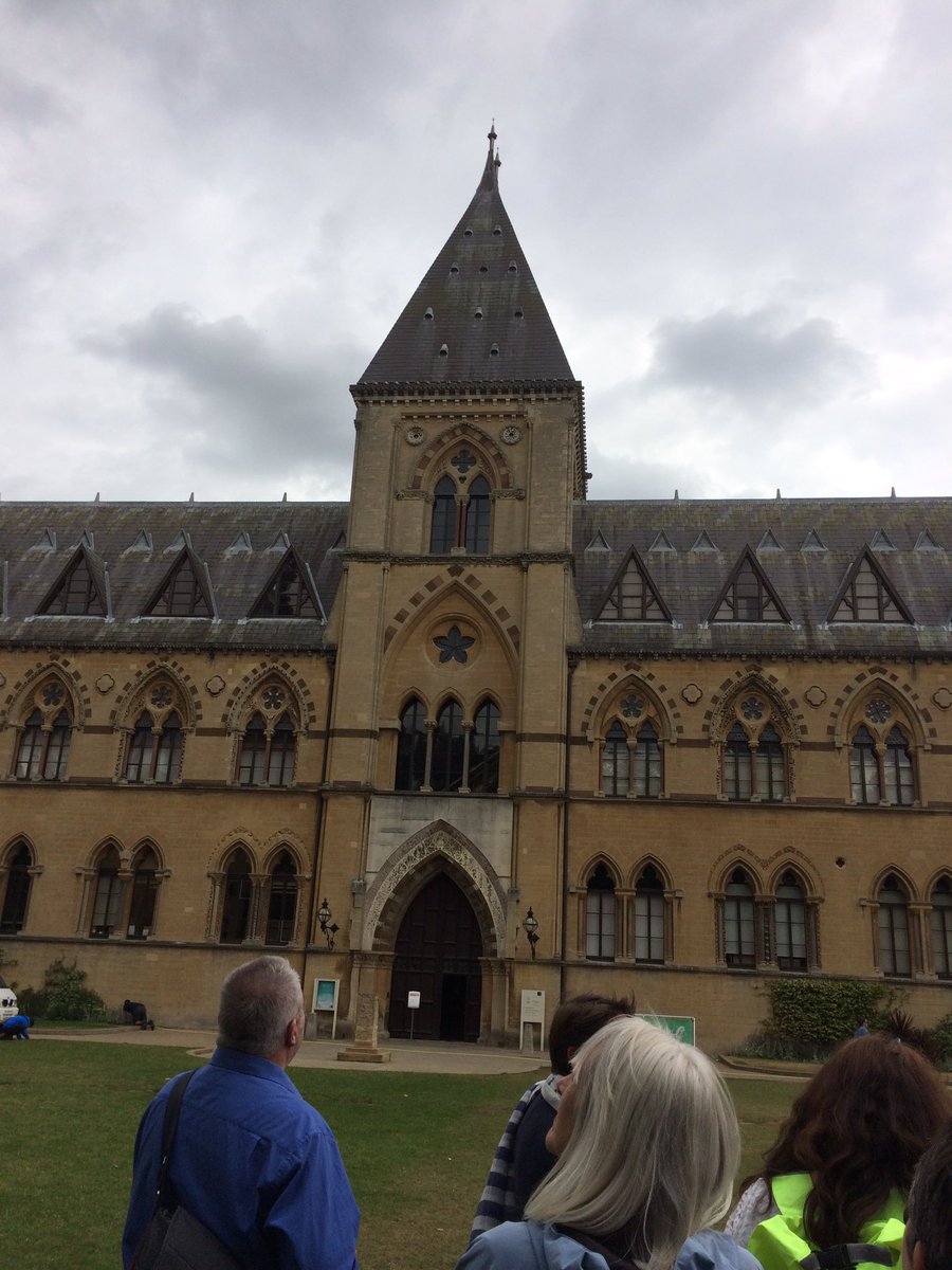 CasleyCath's tweet photo. #swift #spotting @rewleyhouse and @morethanadodo https://t.co/R84zqN2yGS