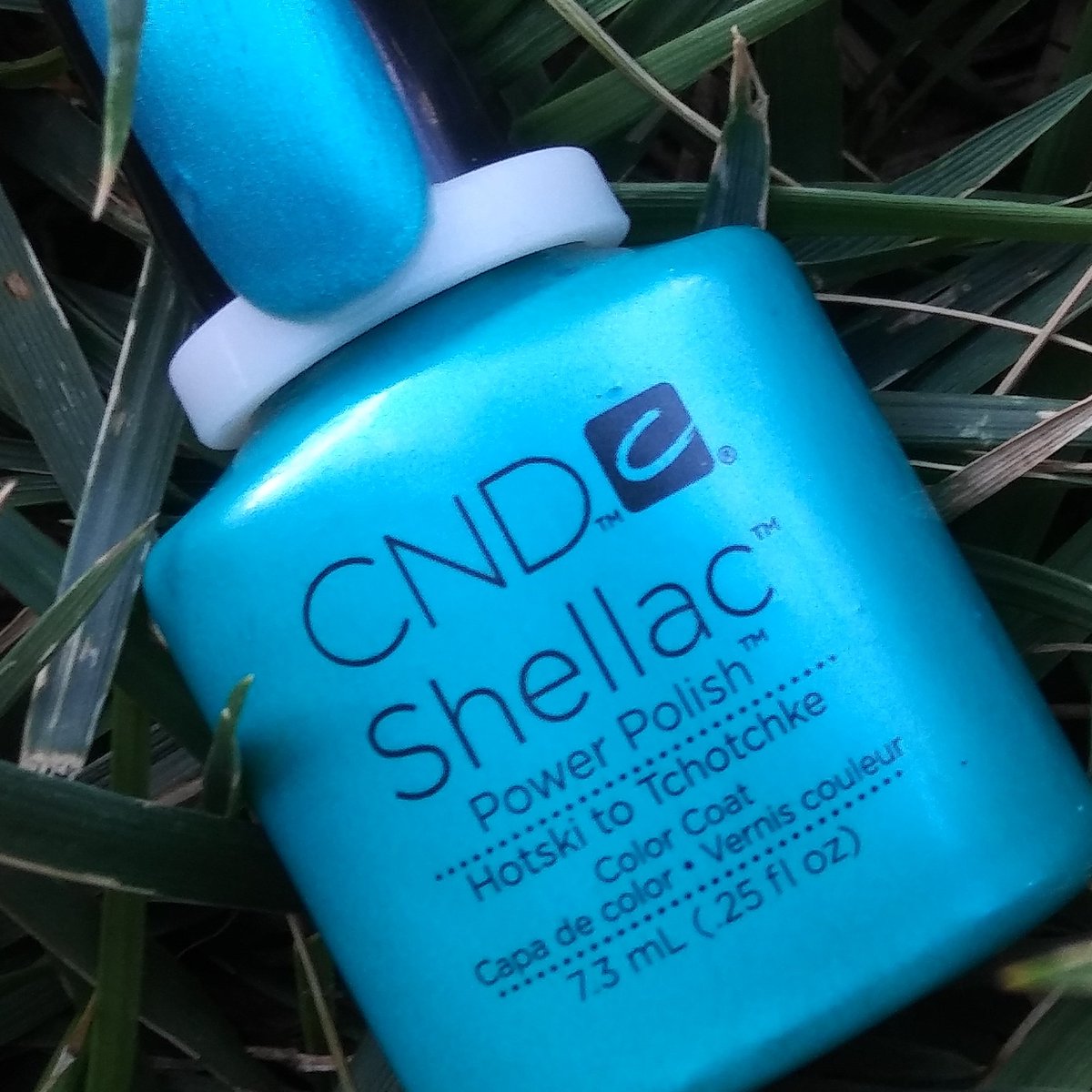 KatyLambson's tweet photo. #Shellac #HotskiToTchotchke #Foils #BlackRaven #LazerOptics #CND #SugarNSpiceServices #NailSalon #CNDCertified #ShellacPro https://t.co/sGY1pFligO