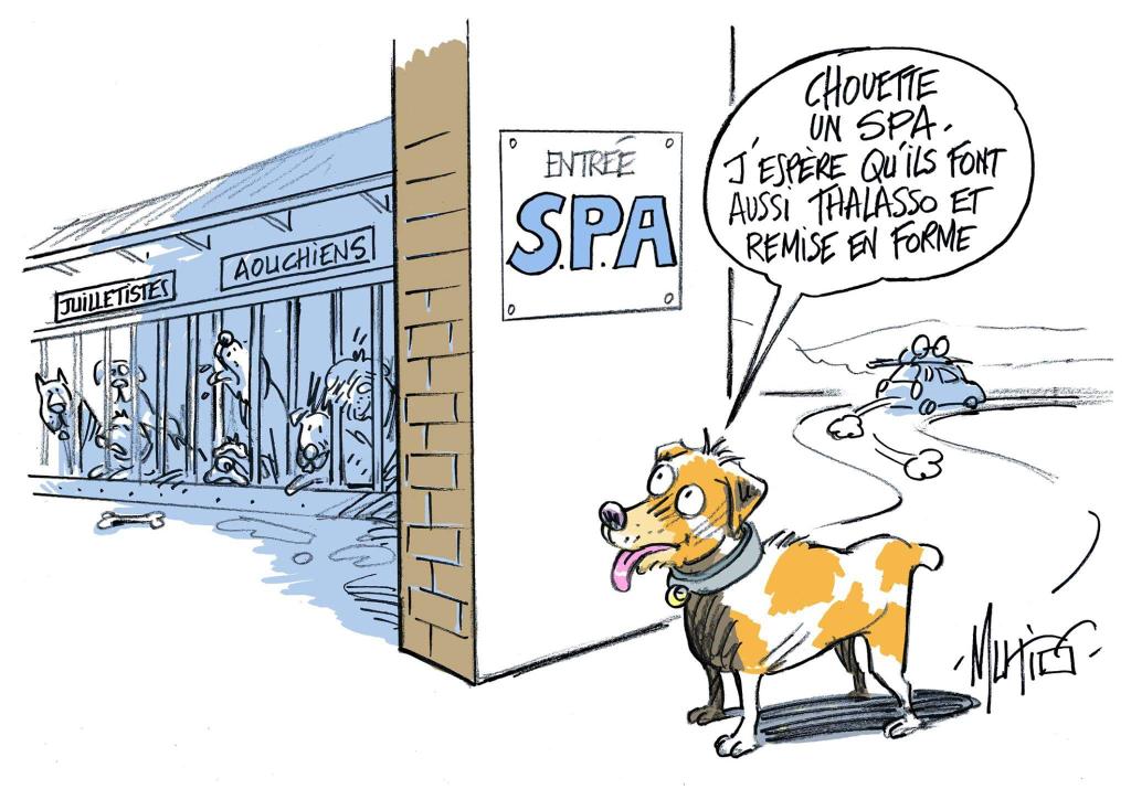 ornikkar's tweet photo. Ce dessin de Mutio est dédié à tous les connards qui abandonnent leur animal domestique au moment des vacances. https://t.co/wfXBfdvsOJ
