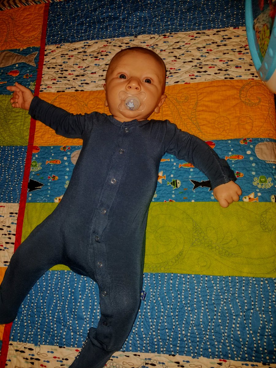 wen_pal2017's tweet photo. 2 month old in 6 month clothing #bigbaby #perfectfit #imakethislookgood @jay_pal19 @thelibrarian @Julianna https://t.co/r0GyBmWjAV